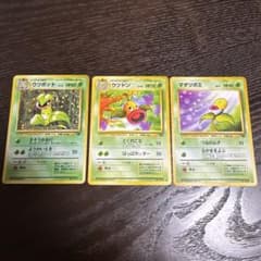 ウツボット ウツドン マダツボミ 旧裏面 3枚セット ポケモンカードのサムネイル