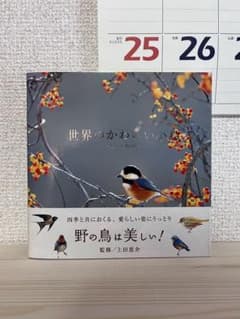 世界のかわいい小鳥のサムネイル