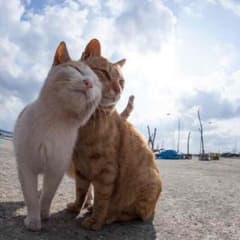 うの様専用のサムネイル