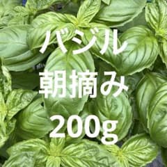 新鮮なバジル 【農薬不使用】200g　ネコポス発送のサムネイル