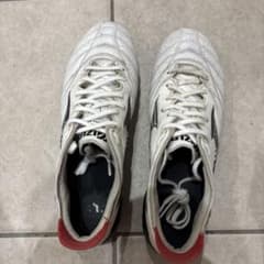 Mizunoモレリアネオ3のサムネイル