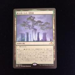 耐え抜くもの、母聖樹 2枚セット m40028011846_1.jpg?1723305791