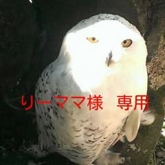 専用   スノーブーツ 16㎝のサムネイル