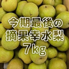 【石川県産】幸水 摘果梨 7kg 加工用｜レシピ付きのサムネイル
