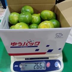 新鮮な柑橘類 約2.6kgのサムネイル