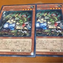 ティオの蟲惑魔のサムネイル
