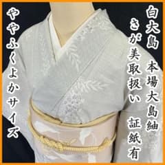 603mt40☆白大島 本場大島紬 さが美取扱い ややふくよか 証紙有 