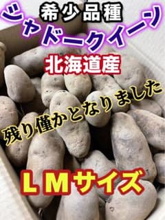 シャドークィーン(紫色のジャガイモ)アントシアニンたっぷり　北海道産5kgLMのサムネイル