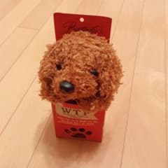 喋るトイプードルのおもちゃ❤︎のサムネイル