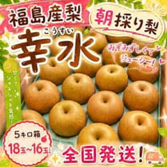 福島産梨 幸水5キロ箱18玉〜16玉 家庭用のサムネイル