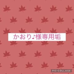 ばぁうくんファイル1点のサムネイル