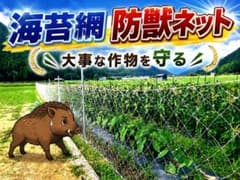 ★特価★海苔網★20枚★中古★害獣防止網★ ベランダネット★畑★ 海苔網 防獣ネット 害獣対策 園芸資材 - メルカリ