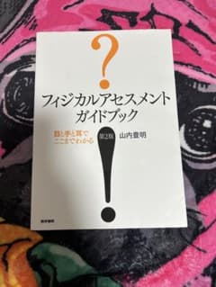 看護学生必見！フィジカルアセスメントガイドブック : 目と手と耳でここまでわかるのサムネイル