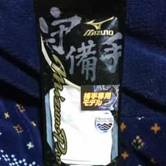 値下げ ミズノプロ 守備手袋 捕手用のサムネイル