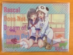 미조구치 케이지 4점 세트 C95 Ntype 블루 돼지