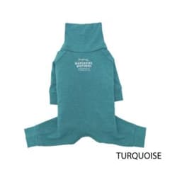 ｛5L TURQUOISE｝ SKIN TIGHT SUIT スキンタイトスーツのサムネイル