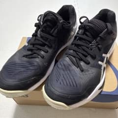 【9/29まで限定値下げ】ASICS SKY ELITE FF 27.0のサムネイル