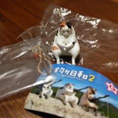 釣り日和　三毛　ミックスのサムネイル