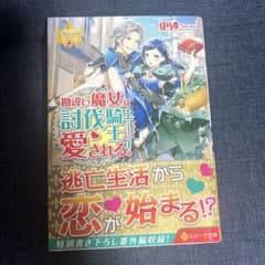 勘違い魔女は討伐騎士に愛される。のサムネイル