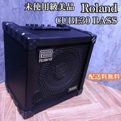 Roland ローランド CUBE-30 BASS CB-30 ベース用アンプ - メルカリ