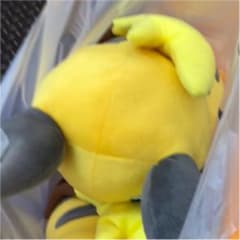 （＾∇＾）様専用のサムネイル
