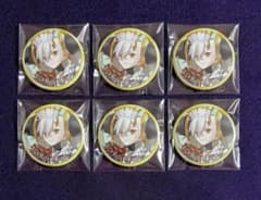 FGO 霊基召喚缶バッジ vol.13 オルガマリー 6点セット - メルカリ