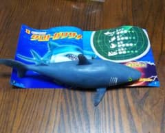 値下げ！SHARK＆Co  クロトガリザメのサムネイル