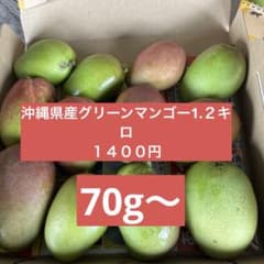 沖縄産摘果マンゴー　1、2キロのサムネイル