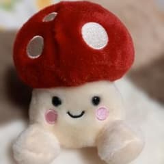 ポケモン アドバンスジェネレーション ぬいぐるみ ワニノコ 海 レトロ