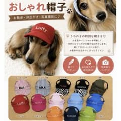 わんちゃんのおしゃれ帽子 名入れ刺繍 ペット用のサムネイル
