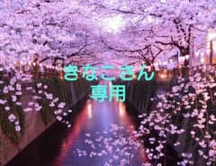 スリット入りロンTのサムネイル