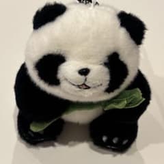 希少 大阪関西万博 2025 中国館 パビリオン公式パンダ ぬいぐるみ 箱付 m40110972728_1.jpg?1762148000