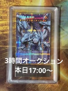 a*o様 究極竜魔導師 ARS10 オーバーフレーム プリズマ - メルカリ