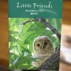 幸せの森のふくろう 福田幸広のサムネイル