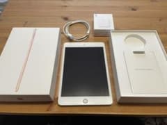 iPad mini 5 第5世代 64GB Wi-Fi ゴールドのサムネイル