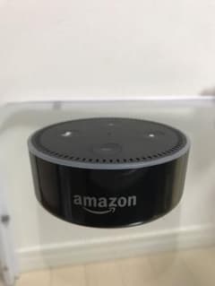 echo dotのサムネイル