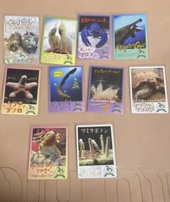 鳥羽水族館　コレクションカード　セイウチ　レア