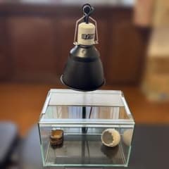 メルカリ市限定価格　EXOTERRA 爬虫類飼育セット ジェックス GEX EXO-TERRA 爬虫類 昆虫 ライトドーム 水槽 餌入れ