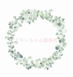 ドキンちゃん様専用　チューリップ　かぎ編み　枯れない花　プレゼント　あみぐるみのサムネイル