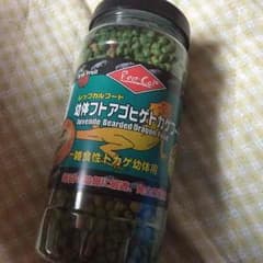フトアゴヒゲトカゲ フードのサムネイル