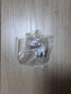 ふんばりーぬ3 ペキニーズのサムネイル