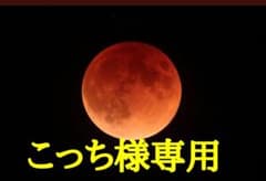 こっち様専用のサムネイル