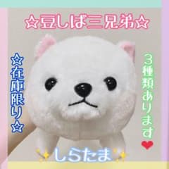 豆しば三兄弟ぬいぐるみ (しらたま)のサムネイル