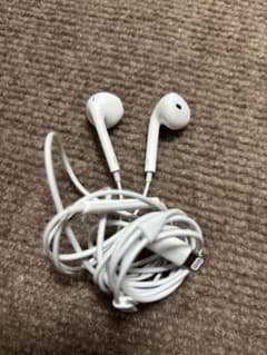 Apple EarPods with Lightning Connector
