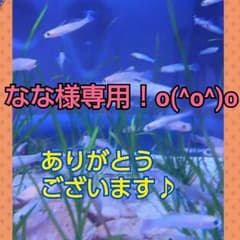 なな様専用！o(^o^)oのサムネイル