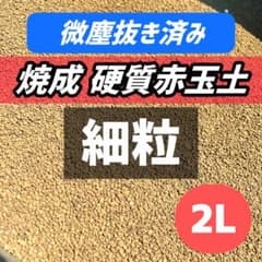 硬質赤玉土 2L 細粒 微塵抜き 多肉植物 サボテン 塊根植物 観葉植物