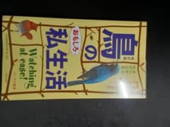 鳥のおもしろ私生活 改訂版 野鳥観察図鑑のサムネイル