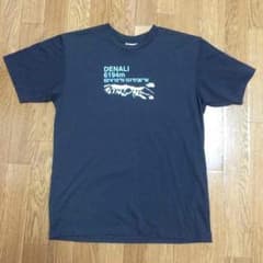 値下げ THE NORTH FACE デナリ Tシャツのサムネイル