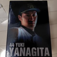希少！！ 柳田悠岐 背番号44 球場配布ボブルヘッド - メルカリ