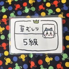 치이카와 컬렉션 카드 구미 풀 무시리 검정 5급 하치와레